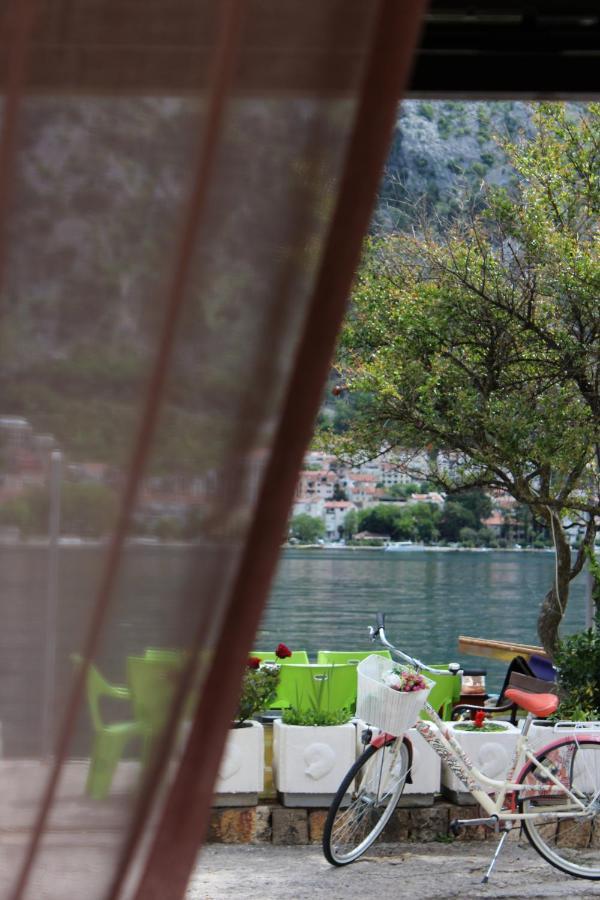 Mare E Montagna Apartment Kotor Exterior photo