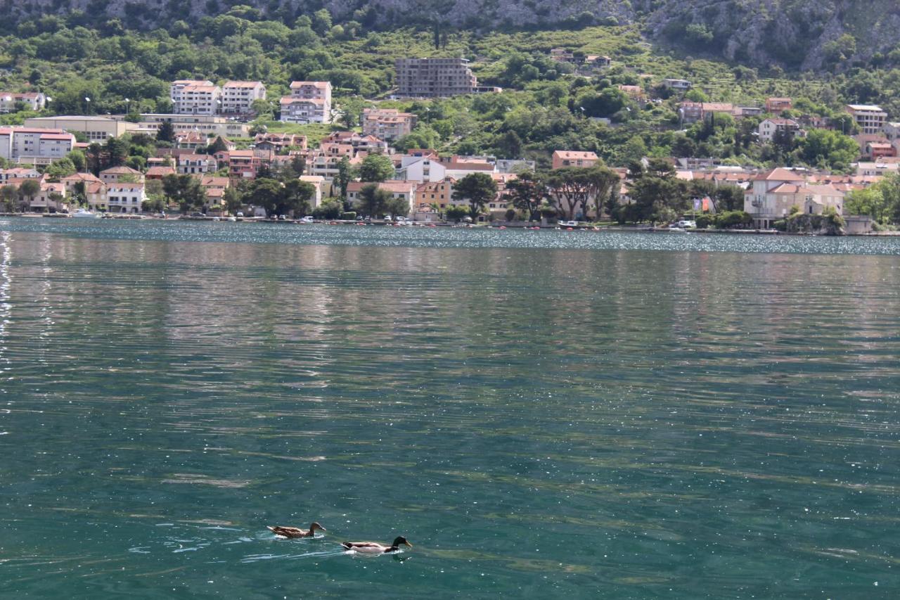 Mare E Montagna Apartment Kotor Exterior photo